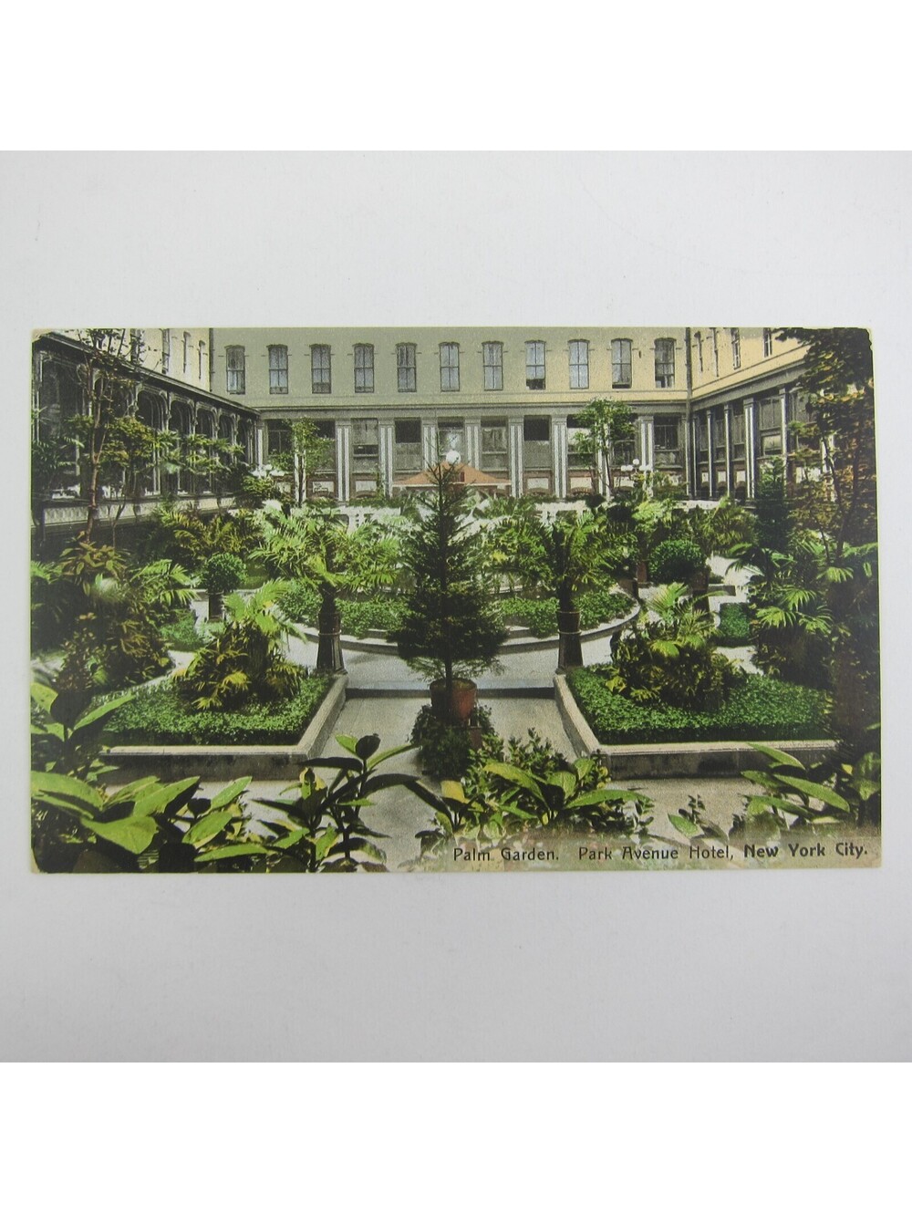 Postcard New York City Park Avenue Hotel Palm Garden Antique UNPOSTED RARE